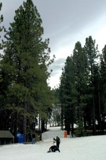 Enlarge photo 364