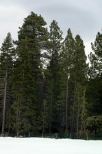 Enlarge photo 365
