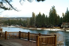 Enlarge photo 375