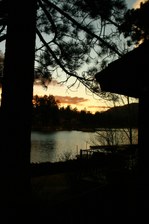 Enlarge photo 384
