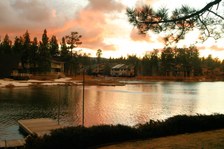 Enlarge photo 386