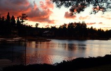 Enlarge photo 387