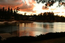 Enlarge photo 388