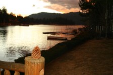 Enlarge photo 396