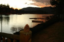 Enlarge photo 397