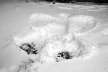 Enlarge photo 418