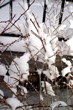 Enlarge photo 421