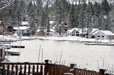 Enlarge photo 268