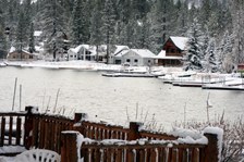 Enlarge photo 269
