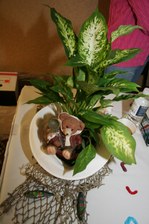 Enlarge photo 55