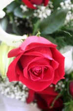 Enlarge photo 129