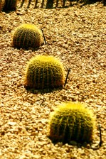 Enlarge photo 229