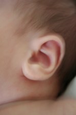 Enlarge photo 47