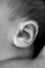 Enlarge photo 48