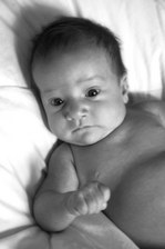 Enlarge photo 50