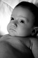 Enlarge photo 60