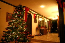 Enlarge photo 49