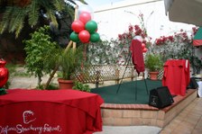 Enlarge photo 99