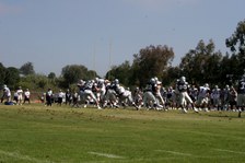 Enlarge photo 41