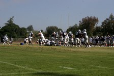 Enlarge photo 42