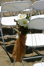 Enlarge photo 315