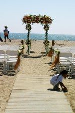 Enlarge photo 284
