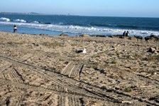 Enlarge photo 163