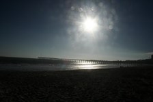 Enlarge photo 157