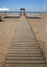 Enlarge photo 119