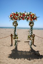Enlarge photo 112