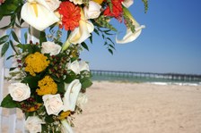 Enlarge photo 109