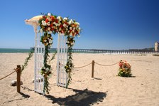 Enlarge photo 107