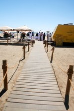 Enlarge photo 82