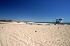 Enlarge photo 57