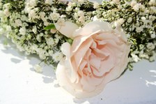 Enlarge photo 132