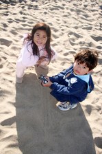 Enlarge photo 221