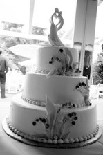 Enlarge photo 59
