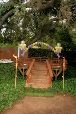 Enlarge photo 71