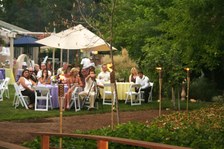 Enlarge photo 96