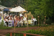 Enlarge photo 97