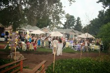 Enlarge photo 129