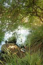 Enlarge photo 78