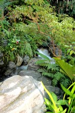 Enlarge photo 89