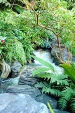 Enlarge photo 90