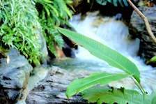 Enlarge photo 91