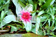 Enlarge photo 92