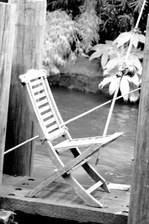 Enlarge photo 96