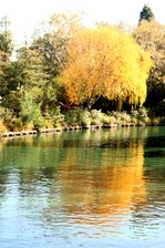 Enlarge photo 45