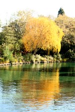 Enlarge photo 46