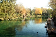 Enlarge photo 47